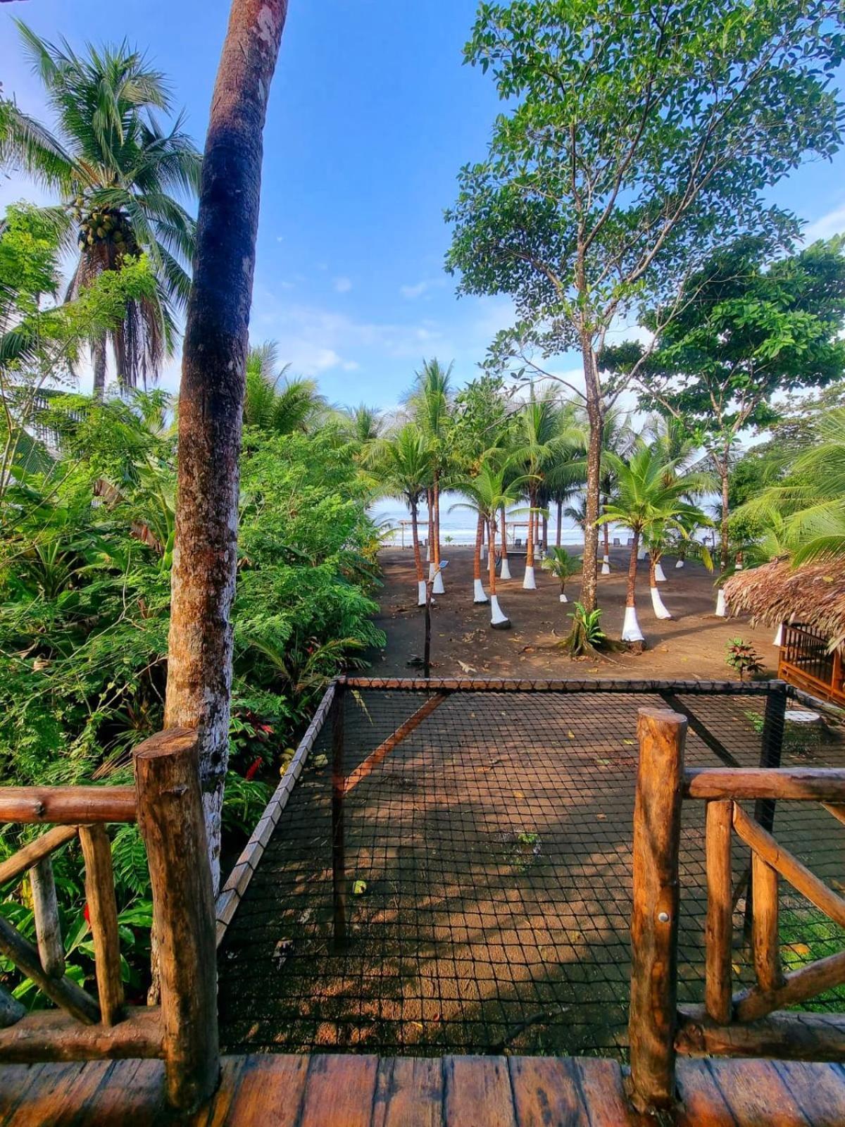 Tortuga Bay Eco Hotel El Valle  Δωμάτιο φωτογραφία